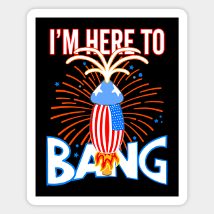 USA Funny Penis Fireworks I'm Here To Bang Magnet